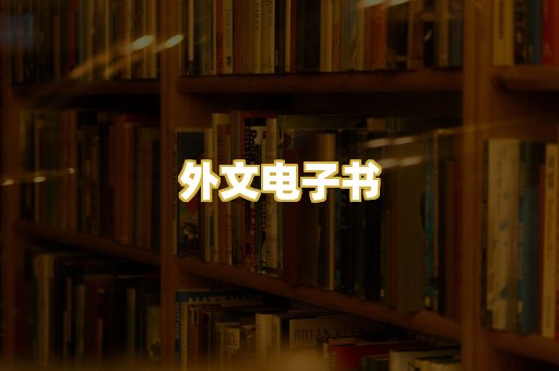 外文电子书